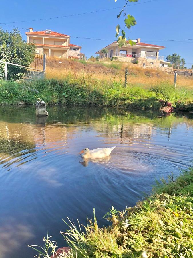 세로리코데바스토 Casa Da Quinta Da Prelada Simao Partie Basse 빌라 외부 사진
