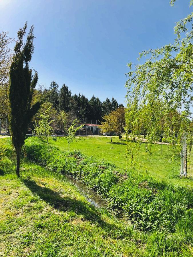 세로리코데바스토 Casa Da Quinta Da Prelada Simao Partie Basse 빌라 외부 사진